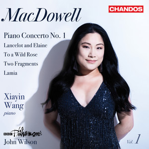 MacDowell Piano Concerto No.1 in A Minor, Op. 15: II. Andante tranquillo