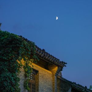 叶子舒 - 苏州河