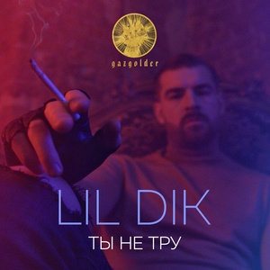 Ты не тру (Explicit)