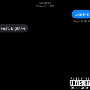 Like Me(feat. BigMike) (Explicit)