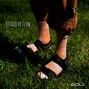 ESTADO DE FLOW (Explicit)
