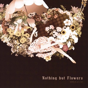 アサガオ (牵牛花)