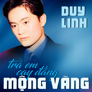 Trả Em Cay Đắng Mộng Vàng