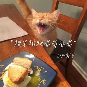 糯米糍粑尝尝尝尝