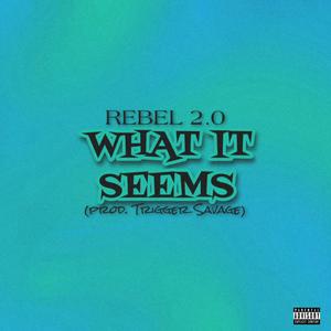 Rebel 2.0 (feat. prod Trigger Savage) [Explicit]