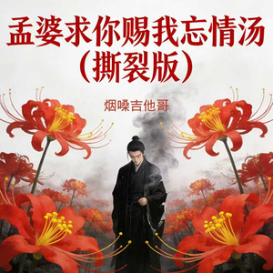 孟婆求你赐我忘情汤 (撕裂版)封面