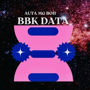 BBk Data