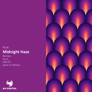Midnight Haze (Tomic Remix)