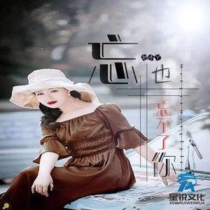 忘也忘不了你