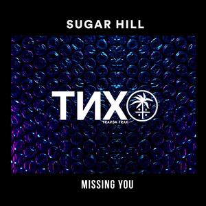 Missing You (Extended Mix)