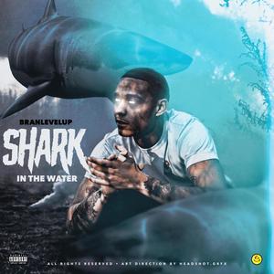 Shark In The Water (Explicit)