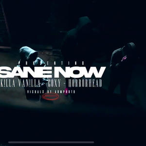 Sane now (feat. Coxy & HorrorHead) (Explicit)