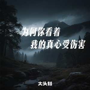 为何你看着我的真心受伤害