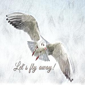 Fly
