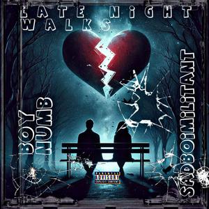 Late Night Walks (feat. Sådbøimilitant) [Explicit]