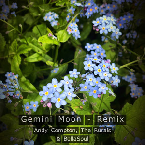 Gemini Moon (Tom Conrad Instrumental Mix)