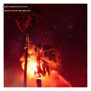 A Setup In Paradise(feat. Vick Cxvii) (Explicit)