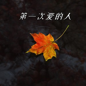 第一次爱的人 (dj律动版)