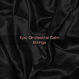 Epic Orchestral Calm Strings