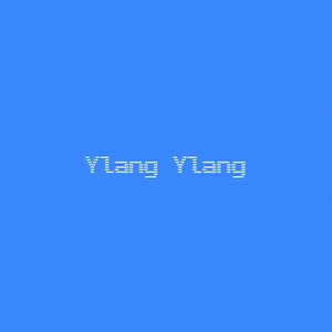 Ylang Ylang (EXTRA nostalgic)
