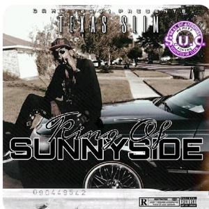 Sunnyside Gang(feat. Zuzu, Ace, Green Leef & Big Bubb SUC) (Explicit)