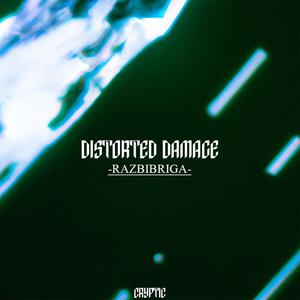 Distorted Damage