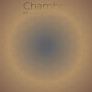 Chambre Nymphomaniac