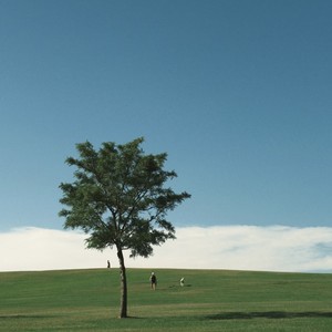 咏春(春知晓梦不觉)-王木木