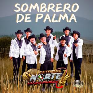 Sombrero De Palma