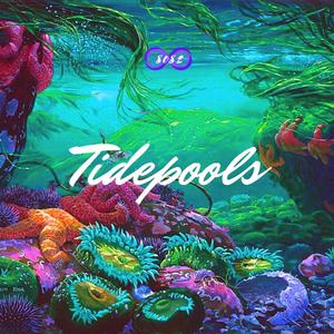 Tidepools(feat. HZU & Tony Driftin) (Explicit)