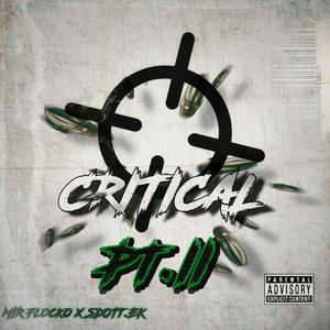 Critical Pt. 2 (feat. Sdott.Ek) (Explicit)
