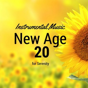 New Age 20: Instrumental Music for Serenity