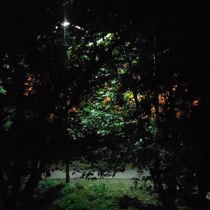 ужас и красота