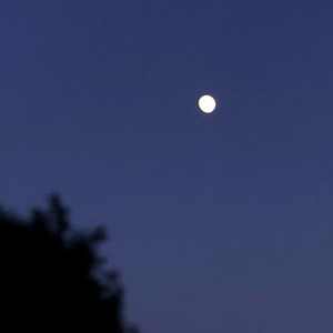 别怕变老-酒鬼糖&Rsslve