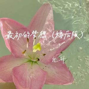 最初的梦想 (婚后版)