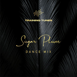 Dance of the Sugar Plum Fairy (Dance Mix)