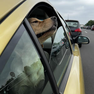 Armlehne im Fond (Explicit)