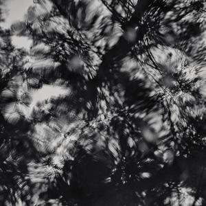 Breath of Life (feat. Nigel Shaw)