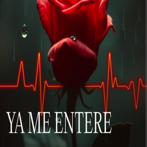 Ya Me Entere