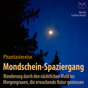 Mondschein-Spaziergang - Phantasiereise: Wanderung durch den nächtlichen Wald ins Morgengrauen, die erwachende Natur geniessen