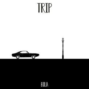 Trip