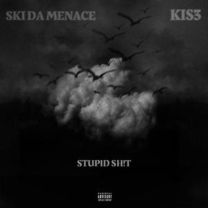 STUPID SH!T (feat. Ski Da Menace) (Explicit)