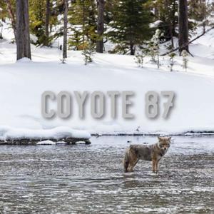 Deep Blue Hell: A Medley of Based & Dreamcult Motifs