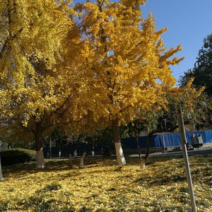 放手也是一种爱