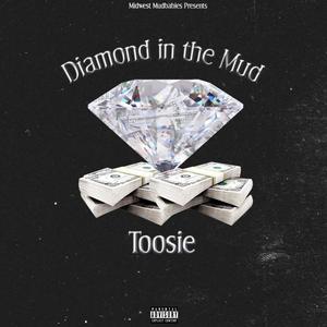 Diamond in the Mud (Explicit)