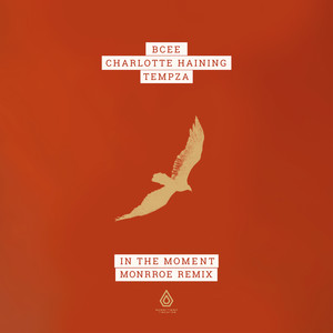 In the Moment (Monrroe Remix)