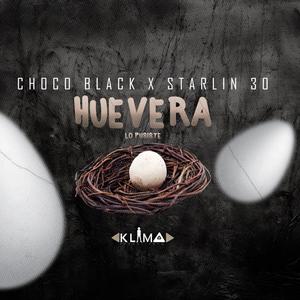 Choco Black X Starlin 30 (Huevera)