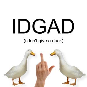 I Don't Give a Duck (feat. ECKS) [Explicit]