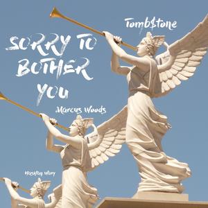 Sorry To Bother You(feat. Hashtag Wavy & Marcus Woods) (Explicit)