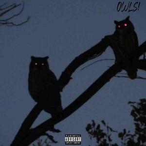 OWLS! (feat. 25BLXCKY) [Explicit]